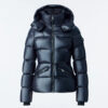 Madalyn Shiny Light Down Hooded Puffer Jacket - Stylefav