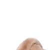 Camel Mayberry Crossover Slippers - Stylefav