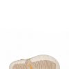 Women's Sesame Hurricane XLT2 Sandals - Stylefav