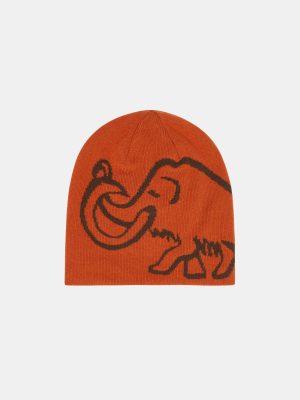 Autumn Reversible Mammut Logo Beanie
